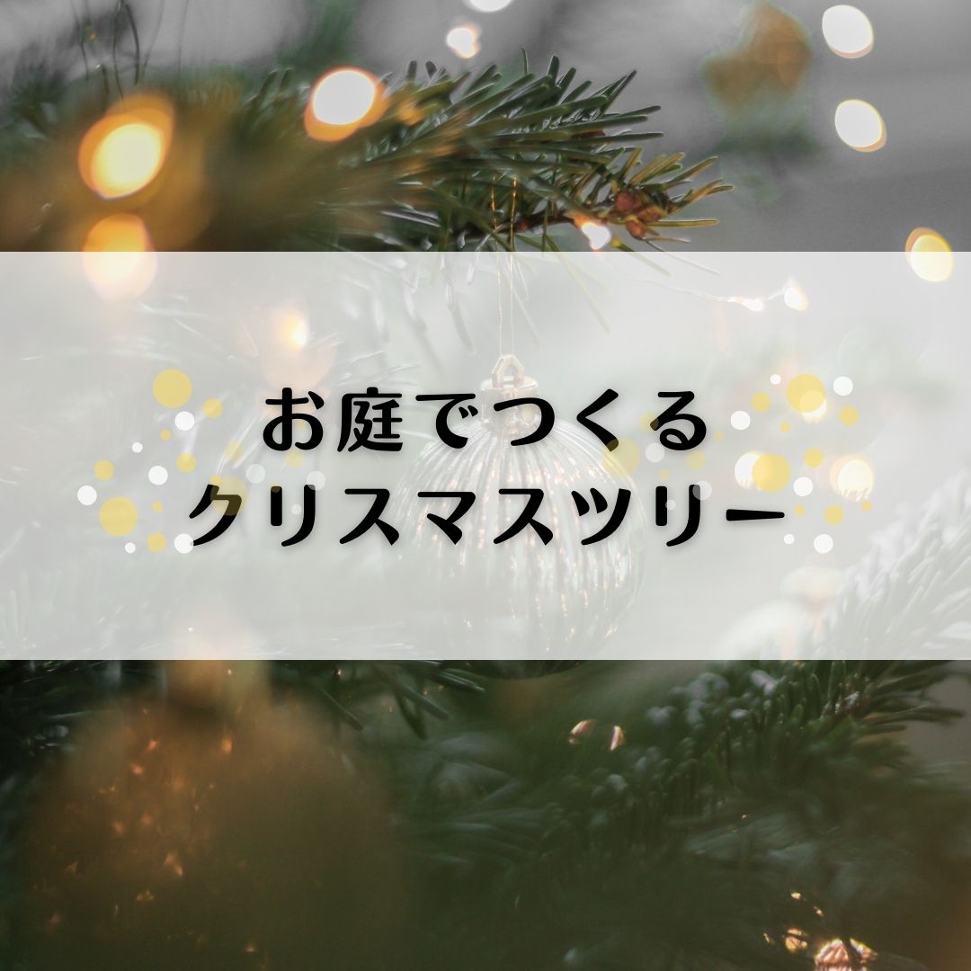 おうちの庭にクリスマスツリーはいかが？