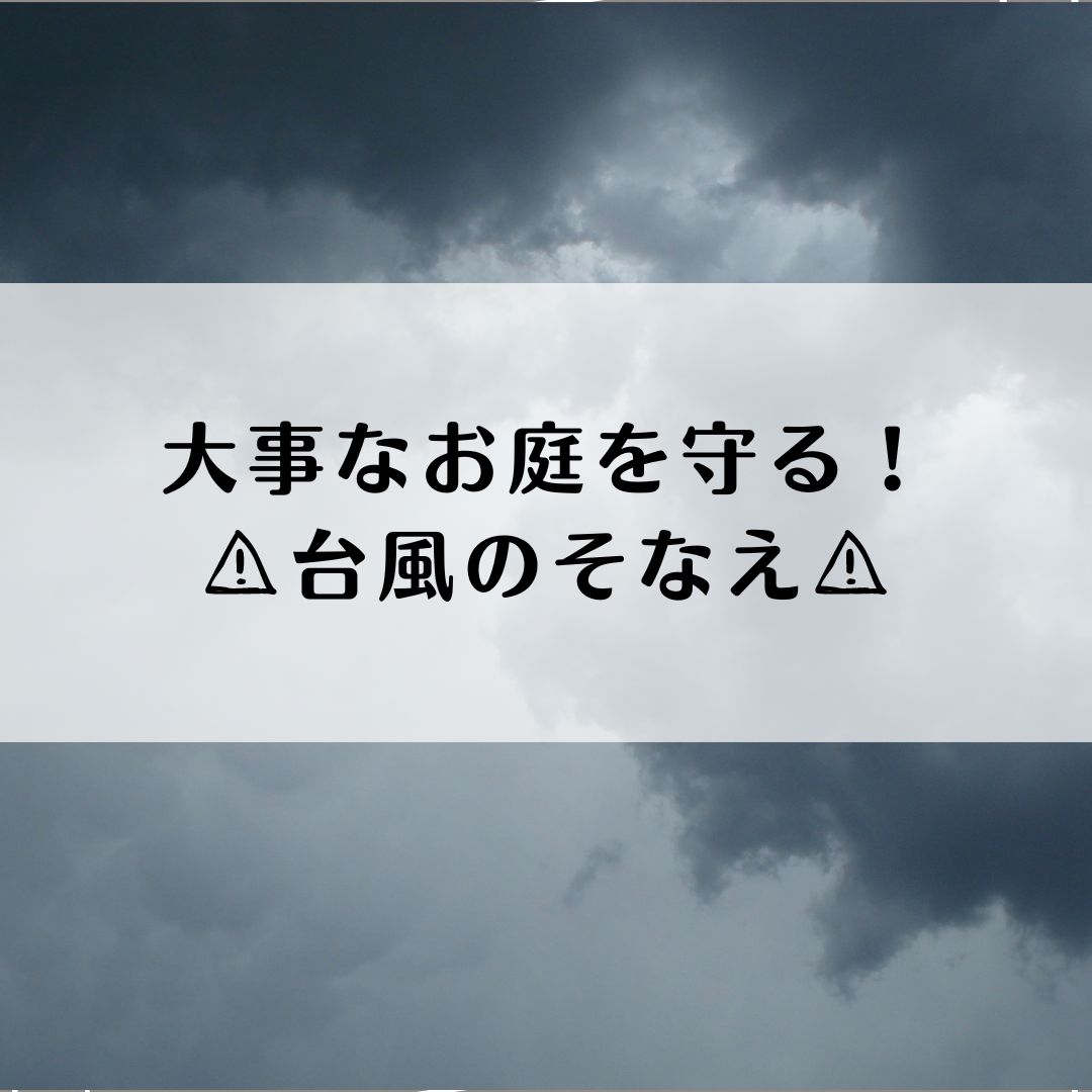 シーズン到来！お家まわりの台風対策