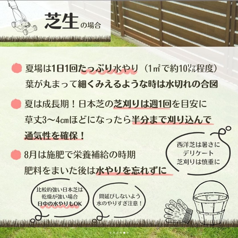 熱中症　庭　植物　花　葉枯れ